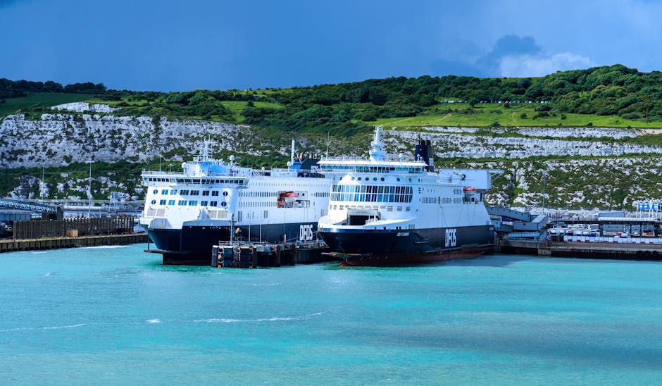 Reiziger met paspoort op cruise terminal