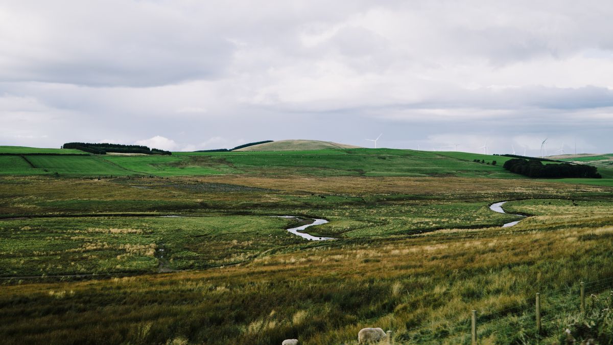 reiziger leest afwijzingsbericht in Britse landschap