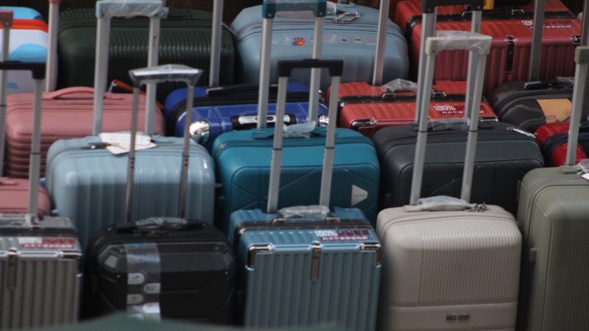 zakenreis bagage grens engeland