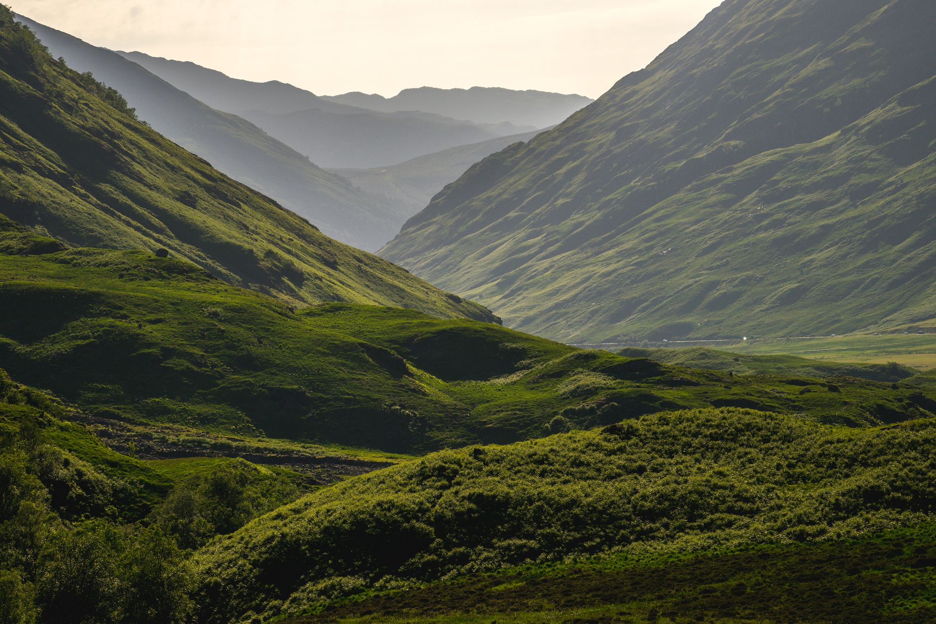 Glooiende groene heuvels van de Scottish Borders langs de route richting Carlisle